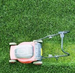 Lawn Mowing & Yard Maintenance Monto