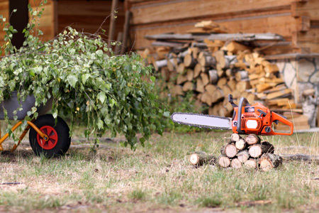 General Yard Maintenance Monto