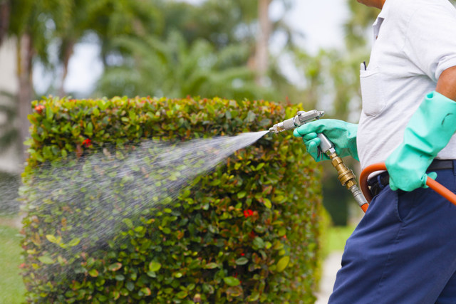 Landscaping and Gardening Monto